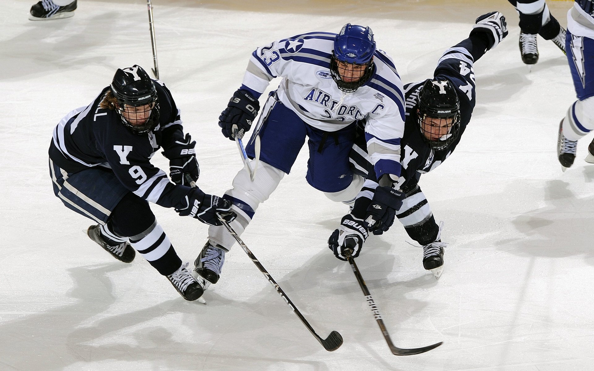 拼搏精神让篮球更具生命力,关于篮球拼搏的句子